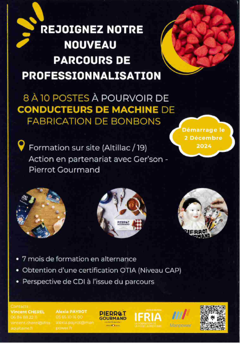 Parcours de professionnalisation